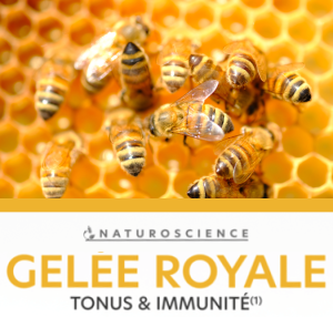 Gelee-royale-FR-standard-1.png